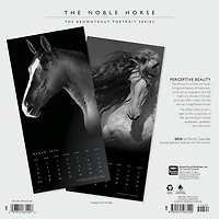 BrownTrout The BrownTrout Portrait Series: The Noble Horse 2024 12x24 Inch Square Wall Calendar, 9781975463120