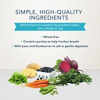 BLUE Bones os dentaires pour chiens grand