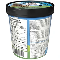 Ben & Jerry's S'more Please! Ice Cream, 473 mL