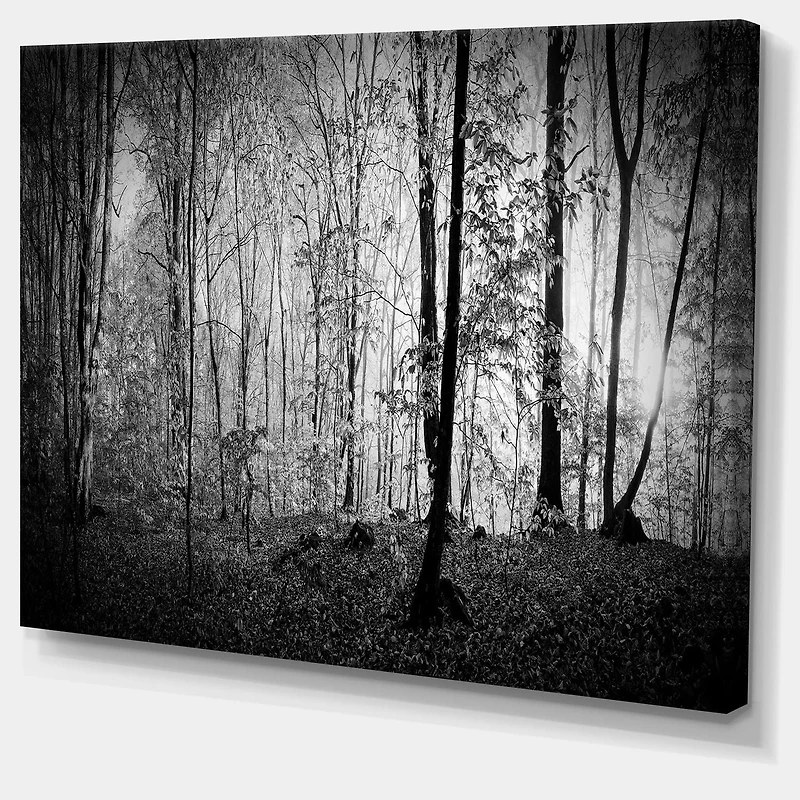 Designart Beautiful Forest Morning Panorama Canvas Wall Art