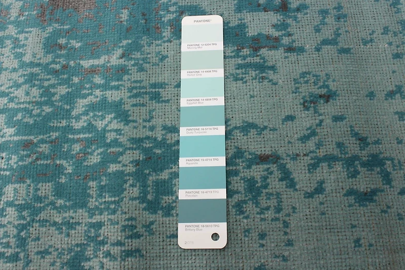 ECARPET Traditional Style Area Rug for Dining Room, Living Room and Bedroom Charlotte Aqua