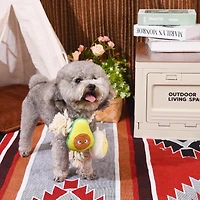 Hugsmart Toast and Egg Dog Rope and Tug Toy