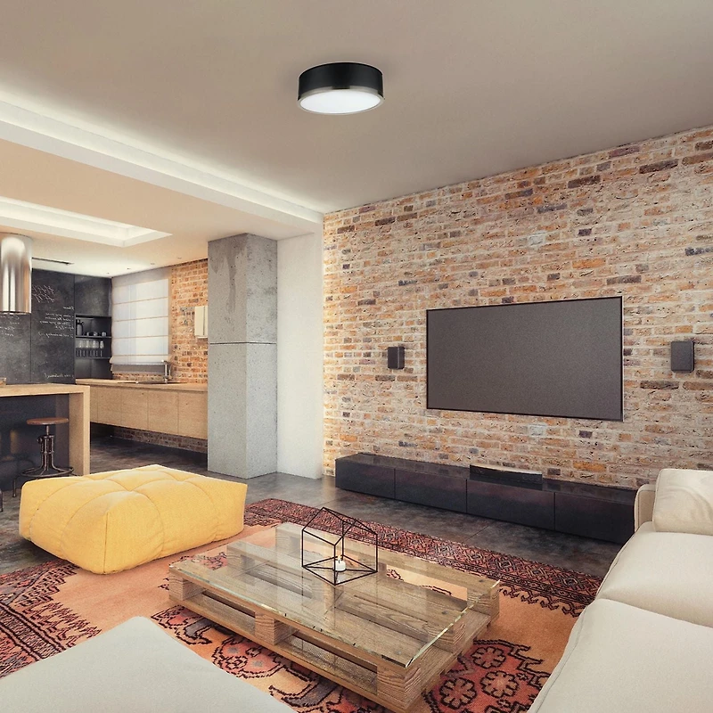 Globe Electric Selina 2-Light Metal Flush Mount Ceiling Light, Matte Black, Antique Brass Accents, Frosted Glass Shade, 60309