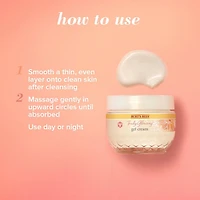 Burt’s Bees® Truly Glowing™ Replenishing Gel Cream with Hydrate and Glow Complex, Developed with Dermatologists