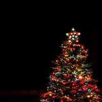 2 Sets of 100 mini glass incandescent look indoor/outdoor LED light, green wire, multi