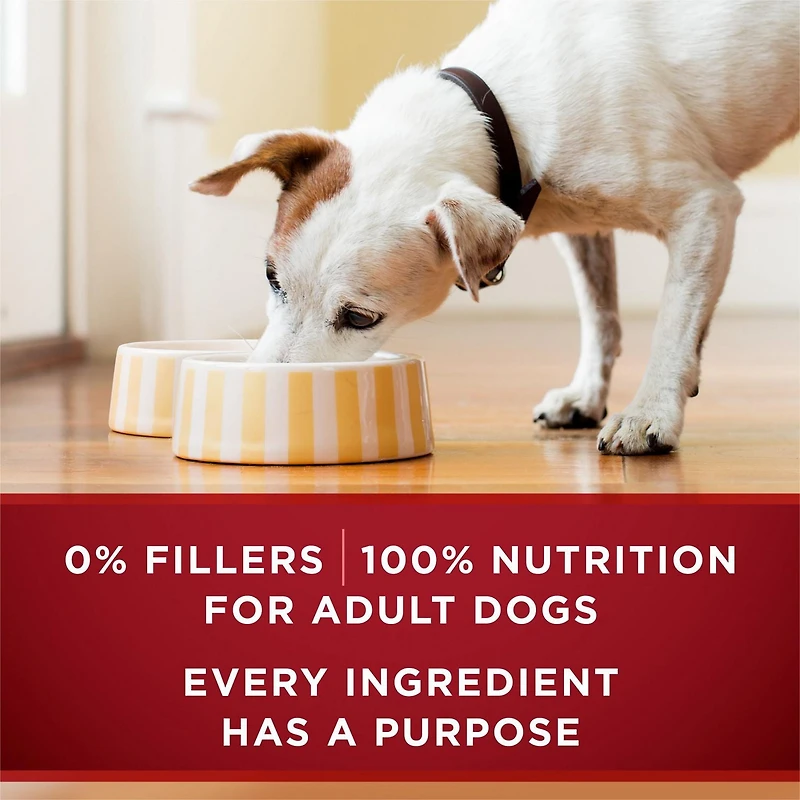 Purina ONE True Instinct Classic Ground Chicken & Duck, Wet Dog Food 368 g, 368 g