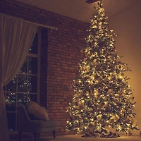 Danson Décor 200 C6 Plug In LED String Light, Warm White