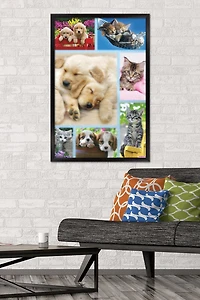 Keith Kimberlin - Puppies and Kittens Collage Wall Poster, 22.375" x 34"