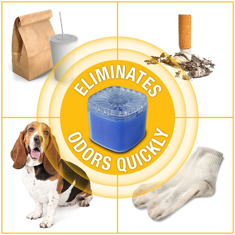 Assainisseur d'air en gel Arm & Hammer