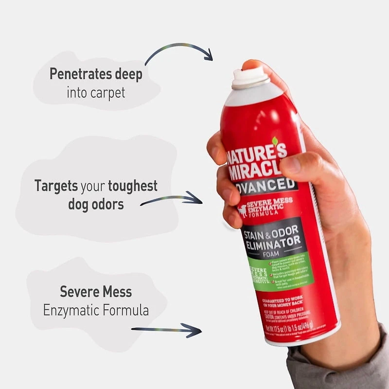 Spray Moussant Détachant et Détachant Avancé Nature's Miracle pour Chiens, 496g