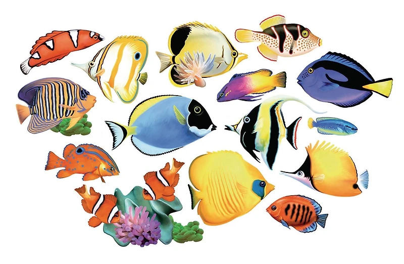 Cra-Z-Art 16 énigmes en forme de poisson de récif, 500pcs
