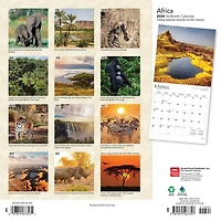 BrownTrout Africa 2024 12x24 Inch Square Wall Calendar, 9781975467357