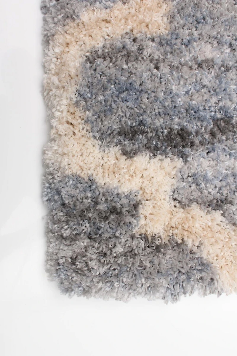 ECARPET Trellis Frieze Area Rug Fluffy Carpet for Bedroom, Ultra Soft & Plush Annica Collection