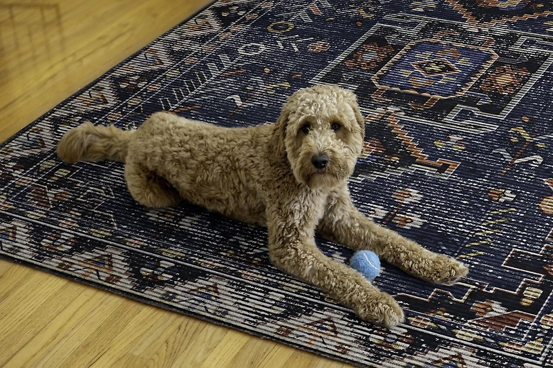 Tapis lavable Larson 5 pi x 7 pi sarcelle et ivoire