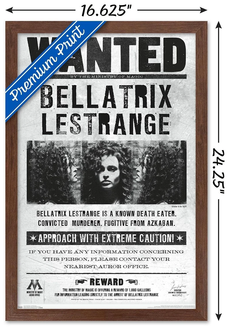 The Wizarding World: Harry Potter - Bellatrix Wanted Poster Wall Poster, 14.725" x 22.375"