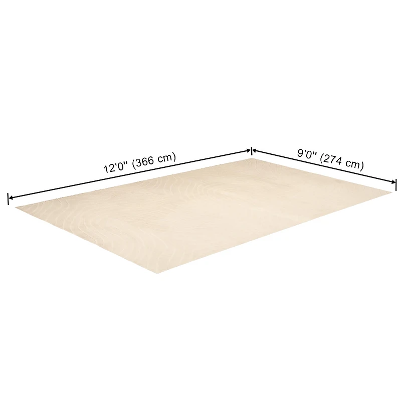 ECARPET Somos Machine Washable Contemporary/Modern Runner Rug for Living Room, Bedroom, Dining Room, Entrance, Hallway and More