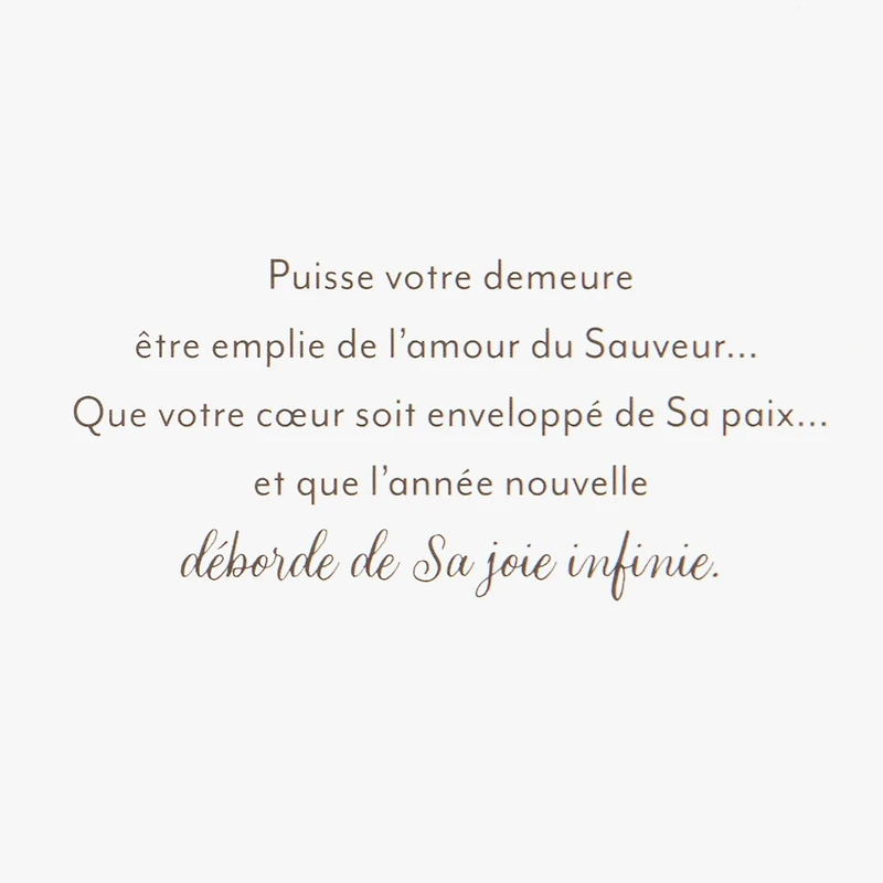 DaySpring  French-Language Religious Boxed Christmas Cards, Peaceful Snowman and House (Pack of 16 Cards with Envelopes)