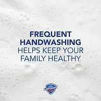 Safeguard Bar Soap Fresh Clean Scent
