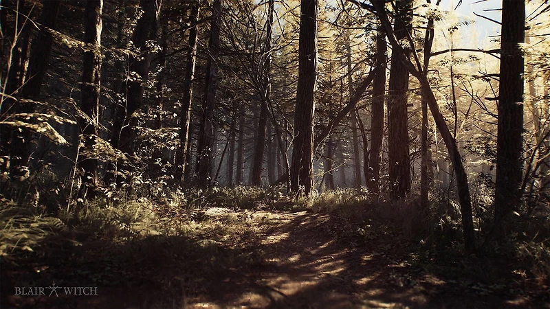 Jeu vidéo Blair Witch pour (PlayStation 4) PlayStation 4