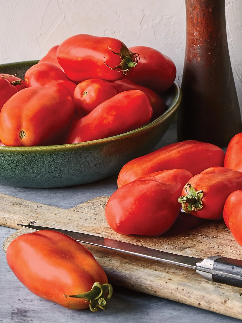 Burpee San Marzano Heir - Tomate