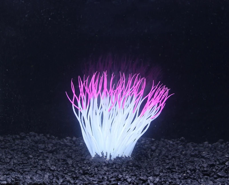 Penn-Plax, Pink Sea Anemone, Pink Sea Anemone