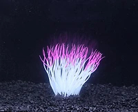 Penn-Plax, Pink Sea Anemone, Pink Sea Anemone