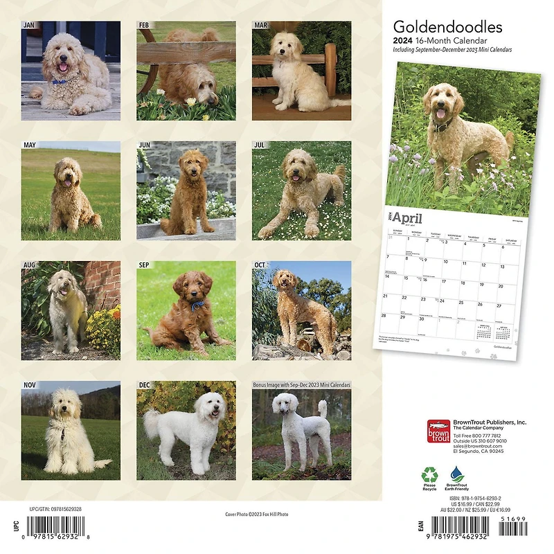 BrownTrout Goldendoodles 2024 12x24 Inch Square Wall Calendar, 9781975462932