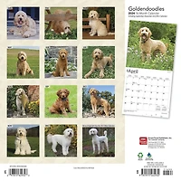 BrownTrout Goldendoodles 2024 12x24 Inch Square Wall Calendar, 9781975462932