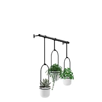 Umbra Triflora Hanging Planter