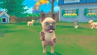 My Universe: Puppies and Kittens (PS4)