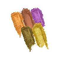 PROFUSION COSMETICS | 5 Shade Eyeshadow Palette