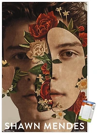 Shawn Mendes - Fleurs