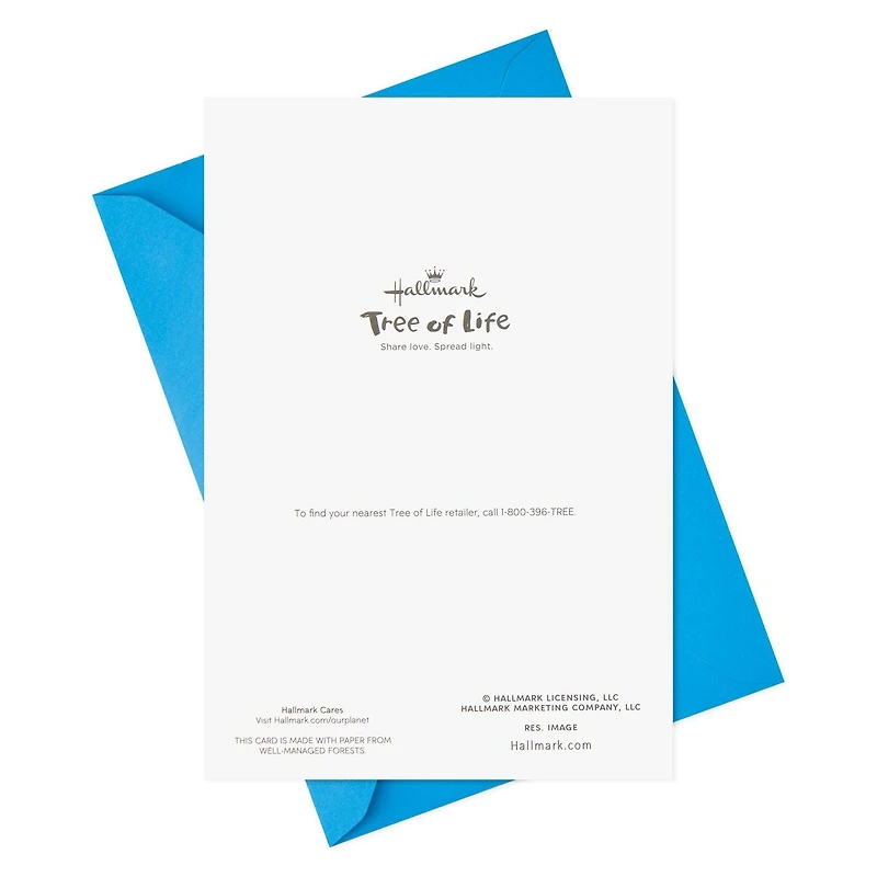 Hallmark Tree of Life Pack of 2 Hanukkah Cards (Shalom, Star of David)