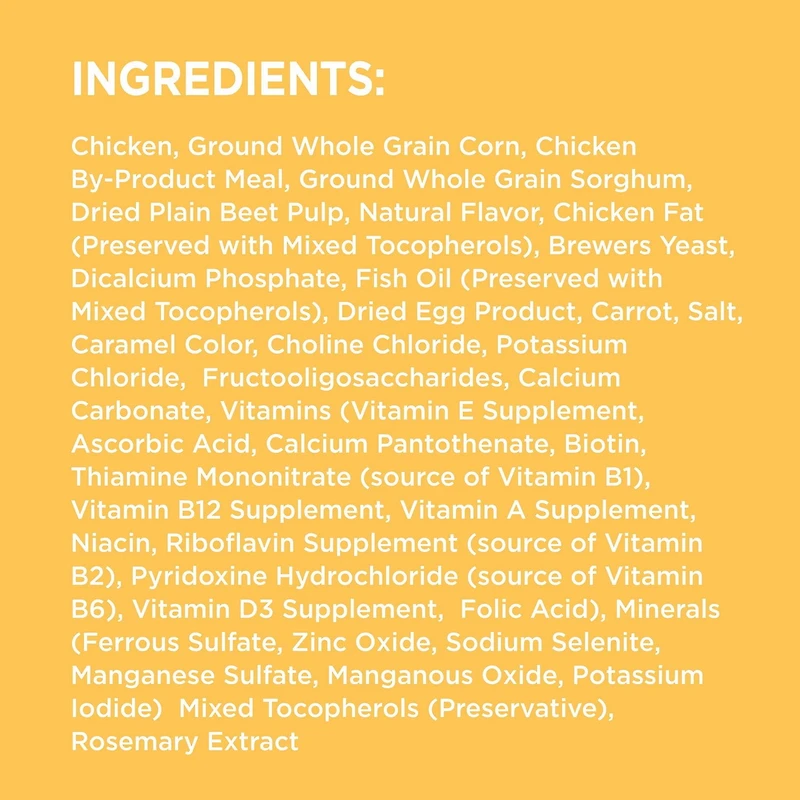 Nourriture sèche pour chiots Iams Recette avec poulet et grains entiers 1,5-6,8 kg