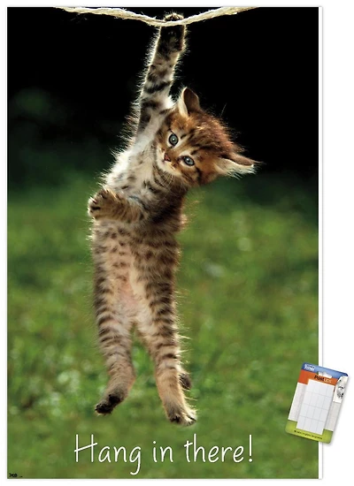 Famous Kitten Hang In There Poster Wall Poster