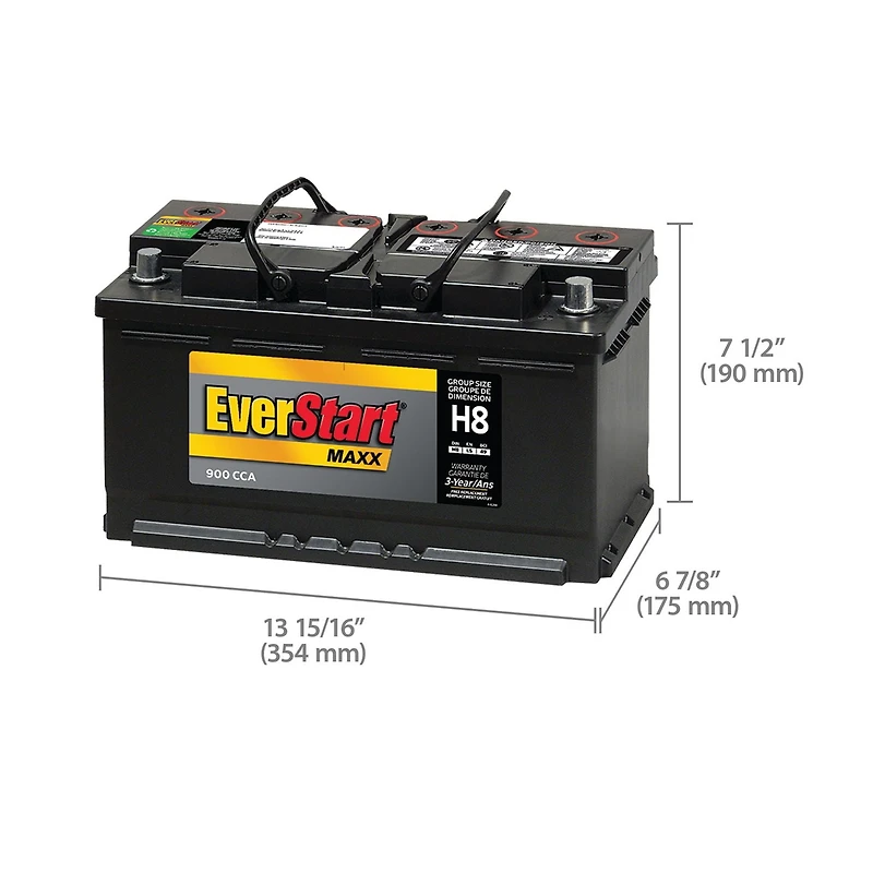EverStart AUTO MAXX-H8, 12 Volt, Car Battery, Group Size H8/49, 900 CCA, EverStart, Car Battery