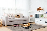 Lit de carton d'ondulation Omega Paw pour chats 16" x 16" x 5"