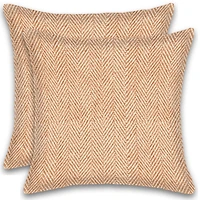 Ensemble de 2 coussins en coton à rayures à chevrons remplis de poly avec fermeture à glissière lavable en machine