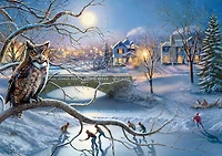Buffalo Games - Le puzzle Large Pieces - Nighttime Hockey Match - en 300 pièces