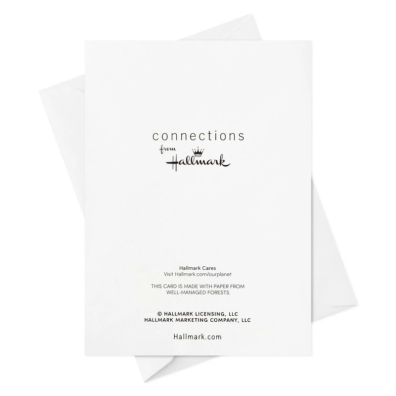 Connections From Hallmark Assorted Boxed Christmas Cards (Winter Wonder), 20 ct.