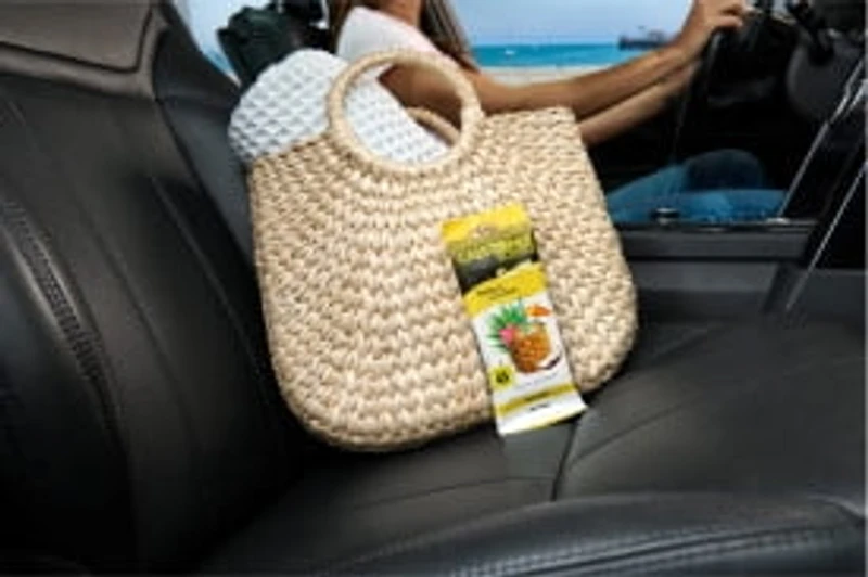 Désodorisant pour voiture California Scents Scent Bloc, parfum Tropical Colada