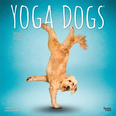 Yoga Dogs 2026 Square Flap