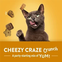 Friskies Party Mix Cheezy Craze Crunch with Real Cheese, Cat Treats, 510 g