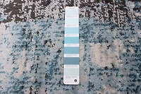 Tapis ECARPET Abstrait Moderne Collection Sparrow