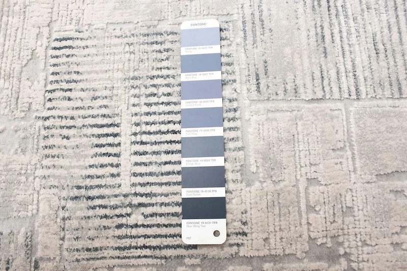 ECARPET Savannah Grey Rug