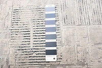 ECARPET Savannah Grey Rug