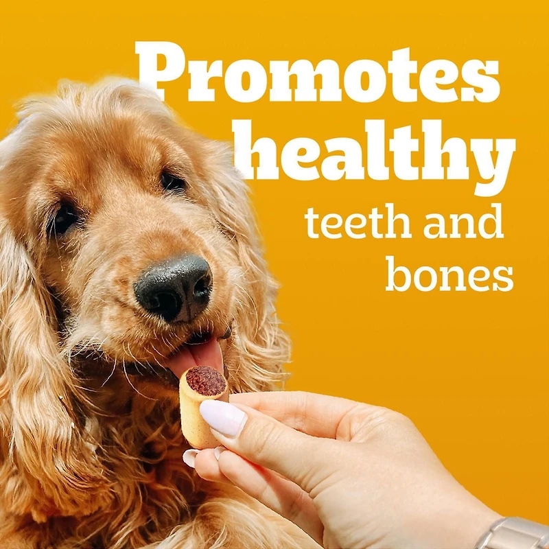 Gâteries pour chiens adultes PEDIGREE Marrobone saveur de bacon et de fromage – avec véritable moelle osseuse, enrichies de vitamines sachet de 680 g