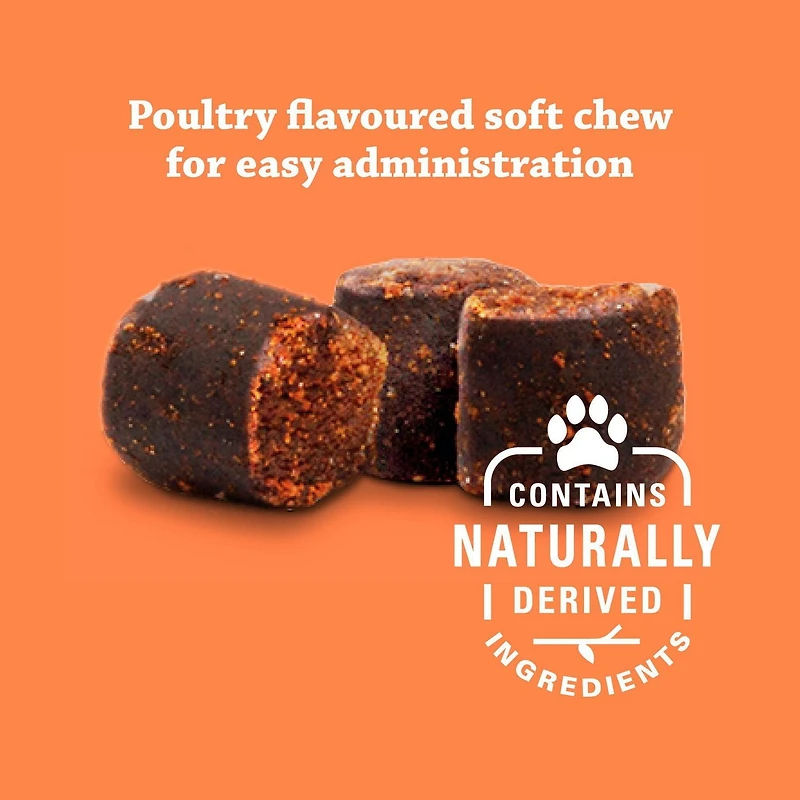 Synovi G4 Dog Joint Supplement Chews for Dogs of All Ages, Sizes and Breeds