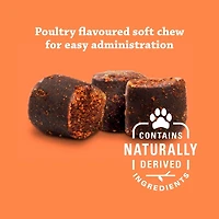 Synovi G4 Dog Joint Supplement Chews for Dogs of All Ages, Sizes and Breeds
