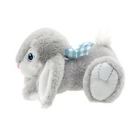 Façon de célébrer le petit hopster heureux, gris